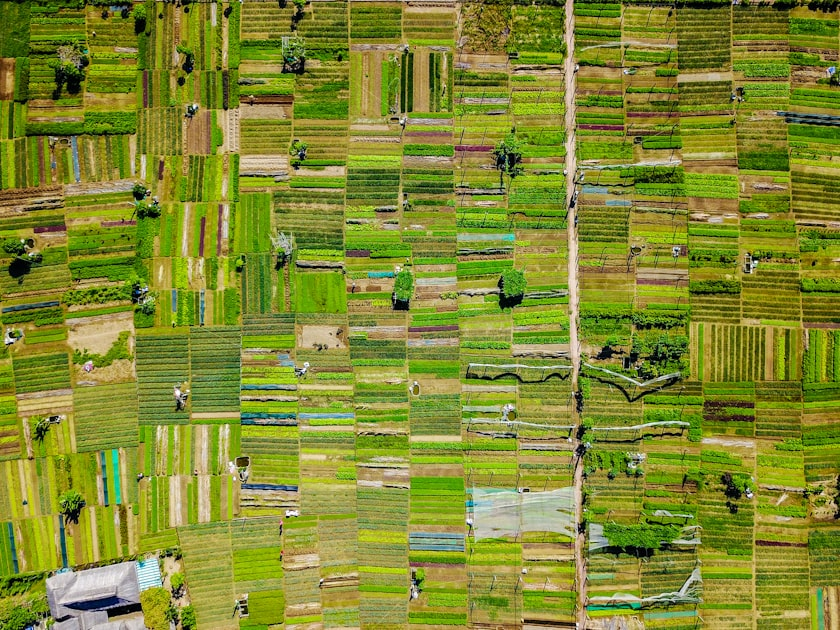 Innovative Practices in Farming
