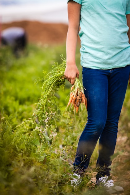From Farm to Table: Our Commitment