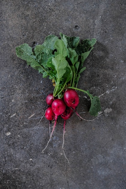 The Importance of Local Markets
